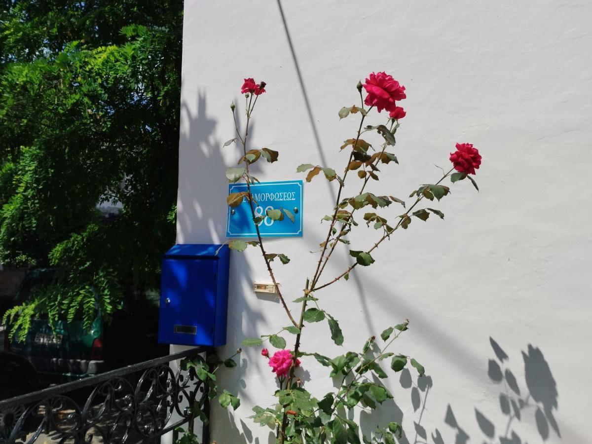 Η Ελπίδα Και Η Γιάννα Ξεκίνησαν Ένα Χώρο Cute Apartment โวโลส ภายนอก รูปภาพ