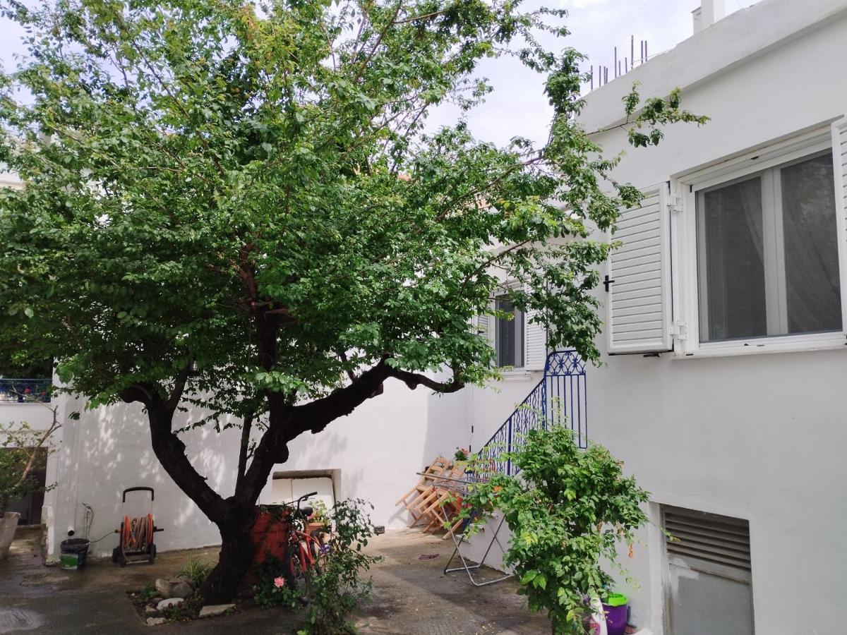 Η Ελπίδα Και Η Γιάννα Ξεκίνησαν Ένα Χώρο Cute Apartment โวโลส ภายนอก รูปภาพ